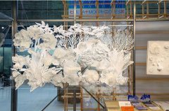 <b>中国协创核心将来书写研究标的目的硕士林庄栋</b>